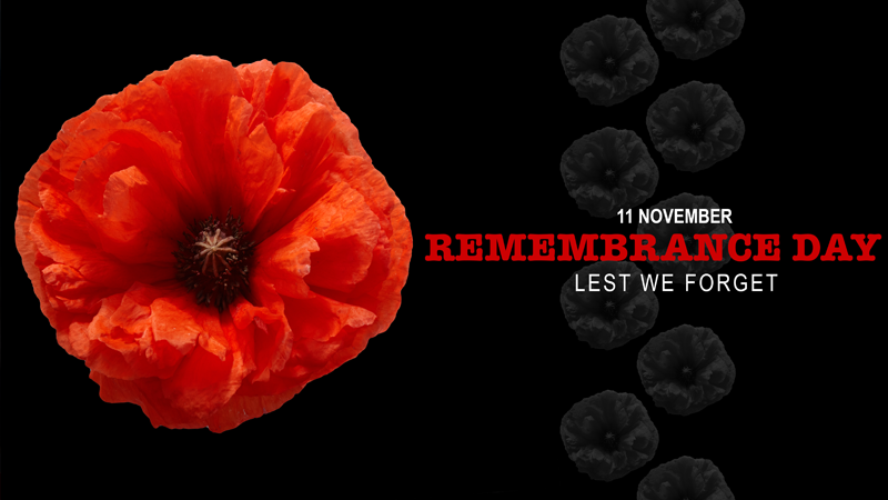 Remembrance Day-Cenotaph